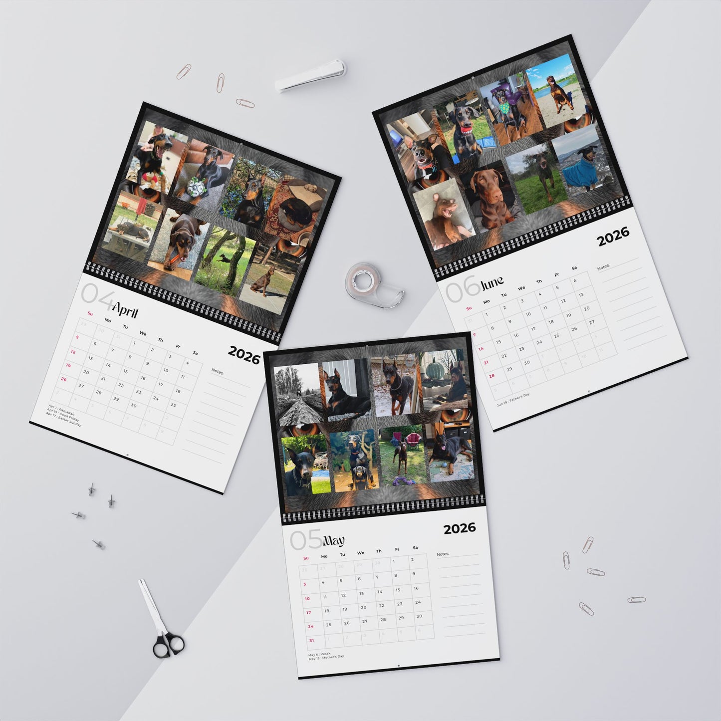 Edition 32 2026 Doberman Calendars