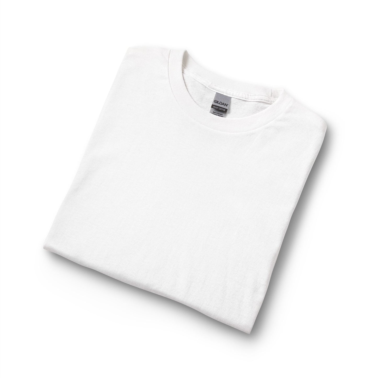Protect 1  Long Sleeve Tee — Festive Doberman