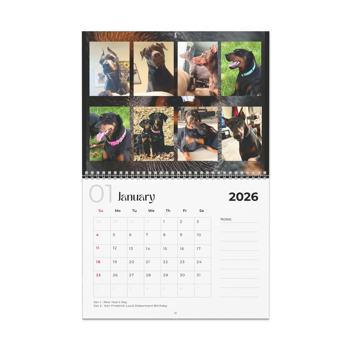 Edition 5 2026 Doberman Calendars