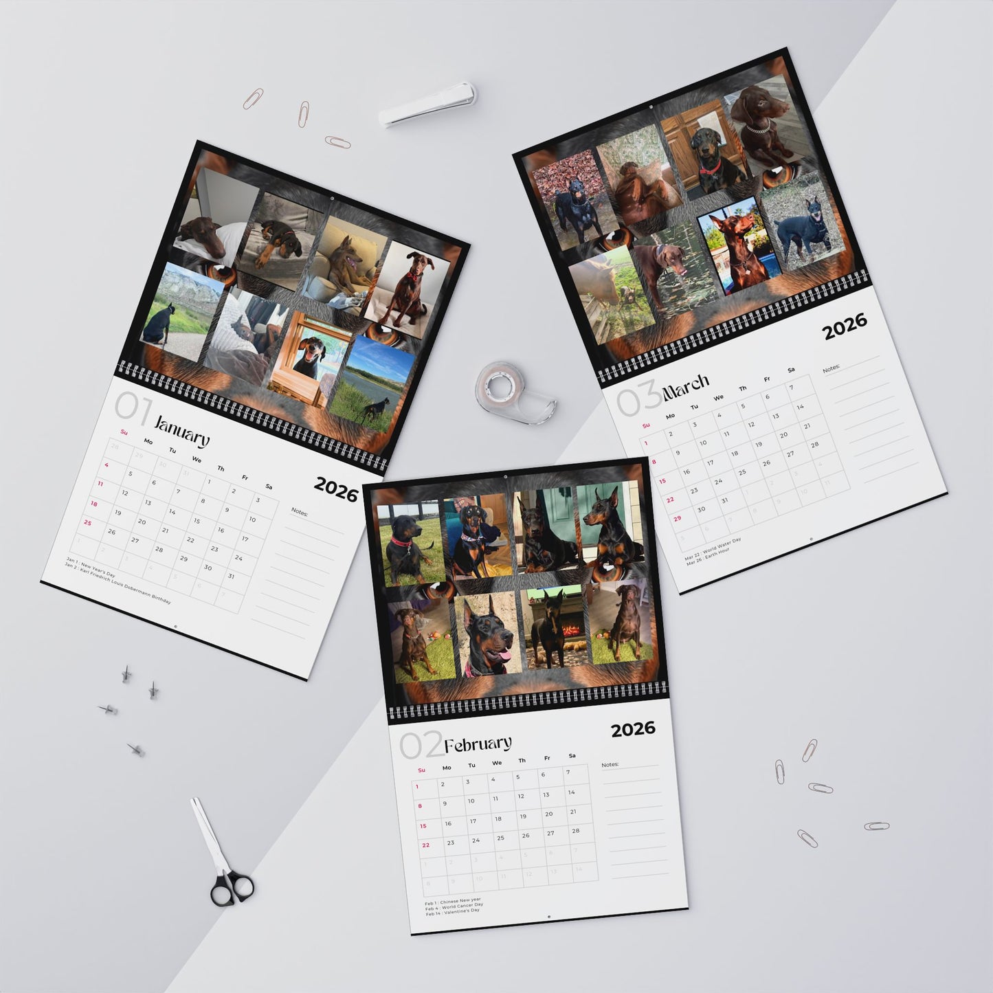Edition 27 2026 Doberman Calendars