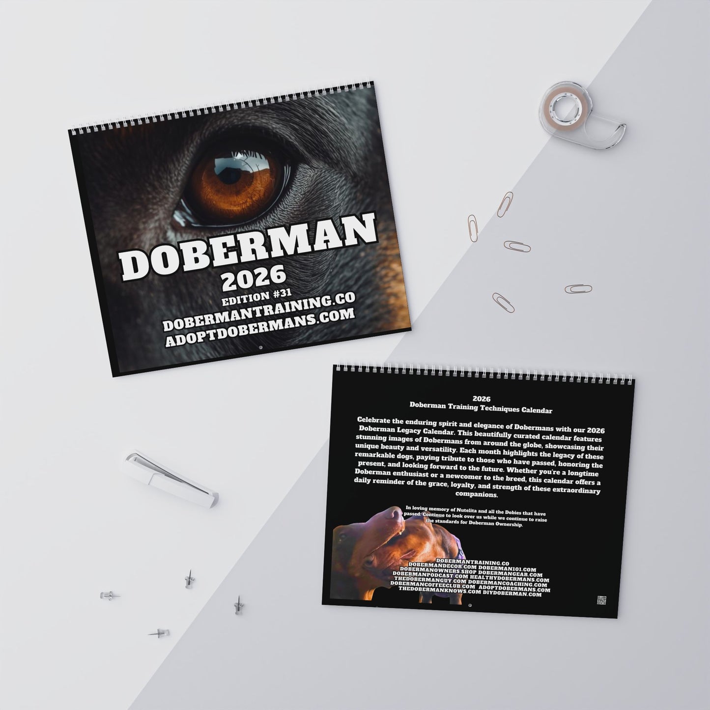 Edition 31 2026 Doberman Calendars