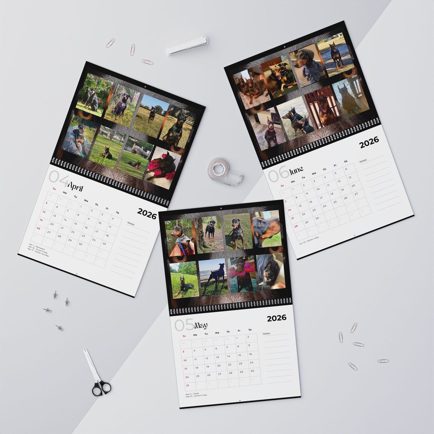 Edition 33 2026 Doberman Calendars