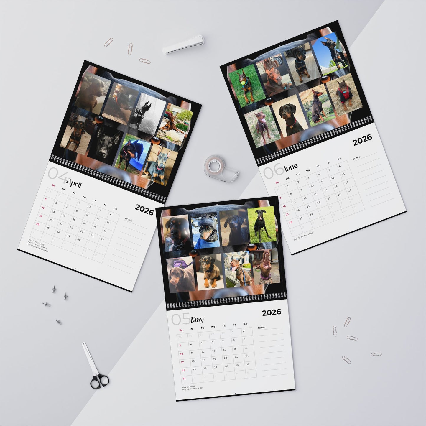 Edition 2 2026 Doberman Calendars