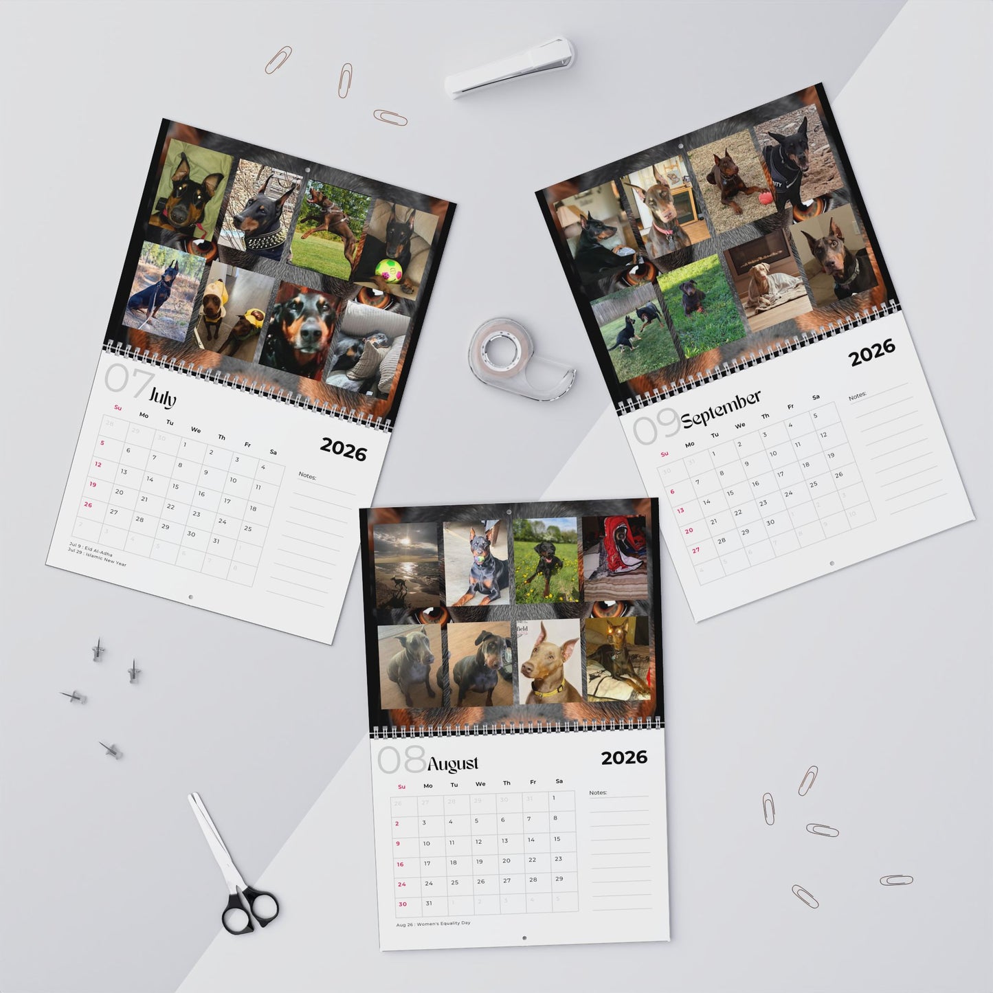 Edition 27 2026 Doberman Calendars