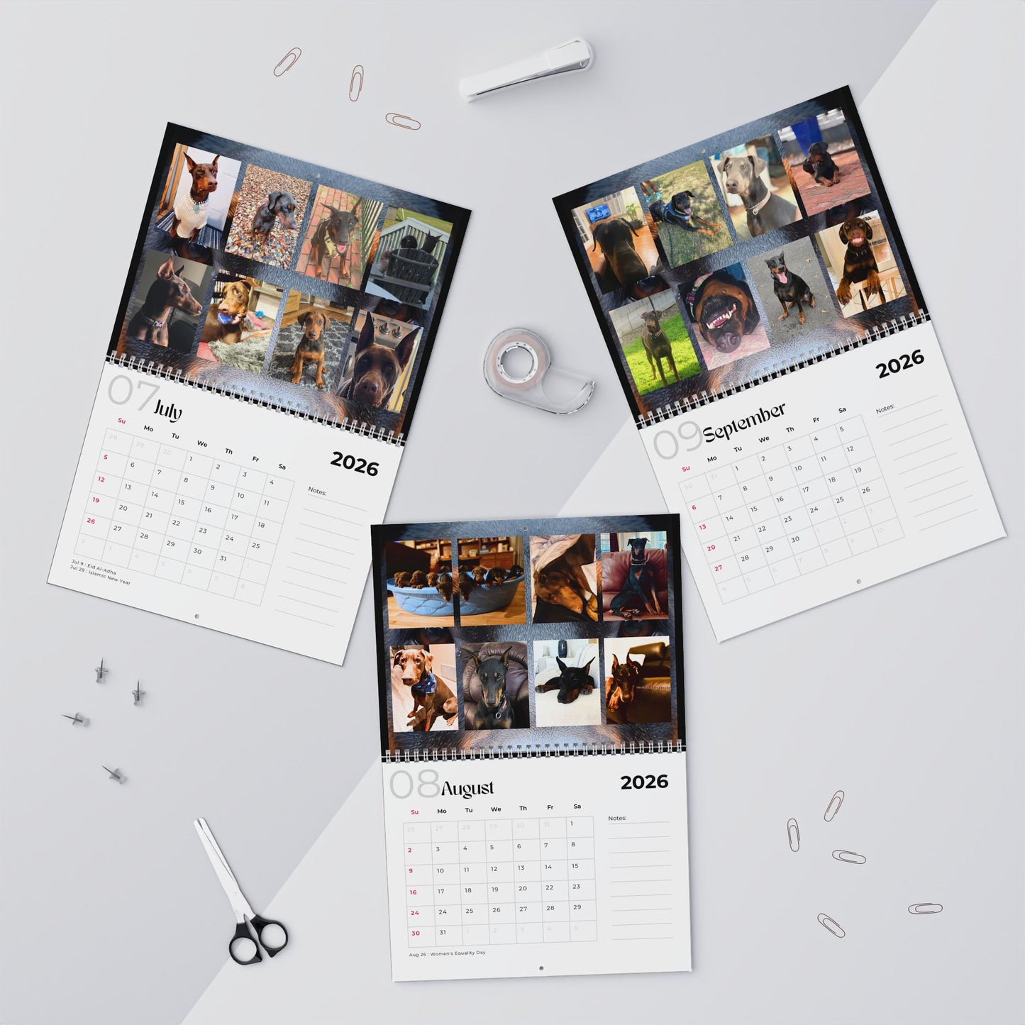 Edition 24 2026 Doberman Calendars