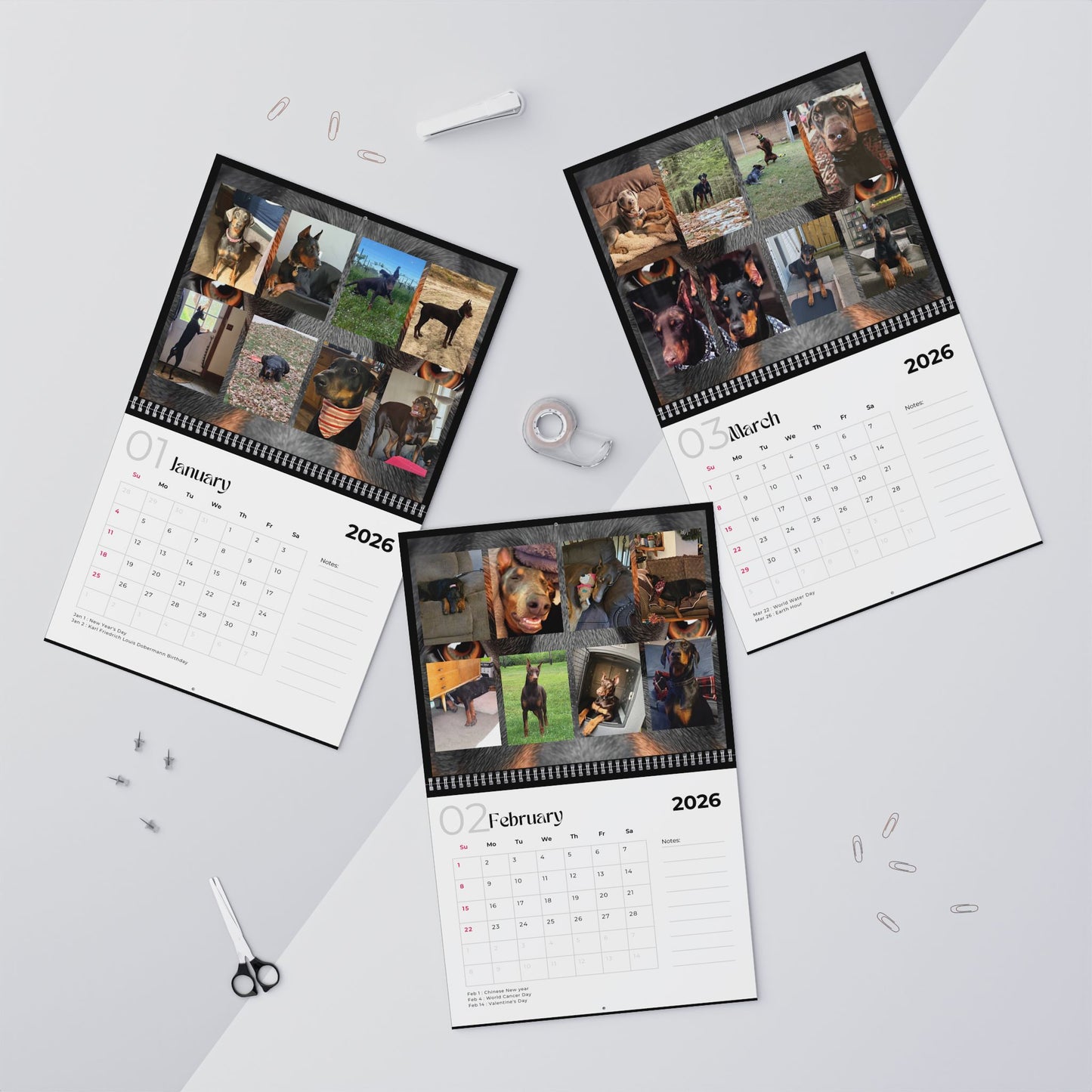 Edition 30 2026 Doberman Calendars