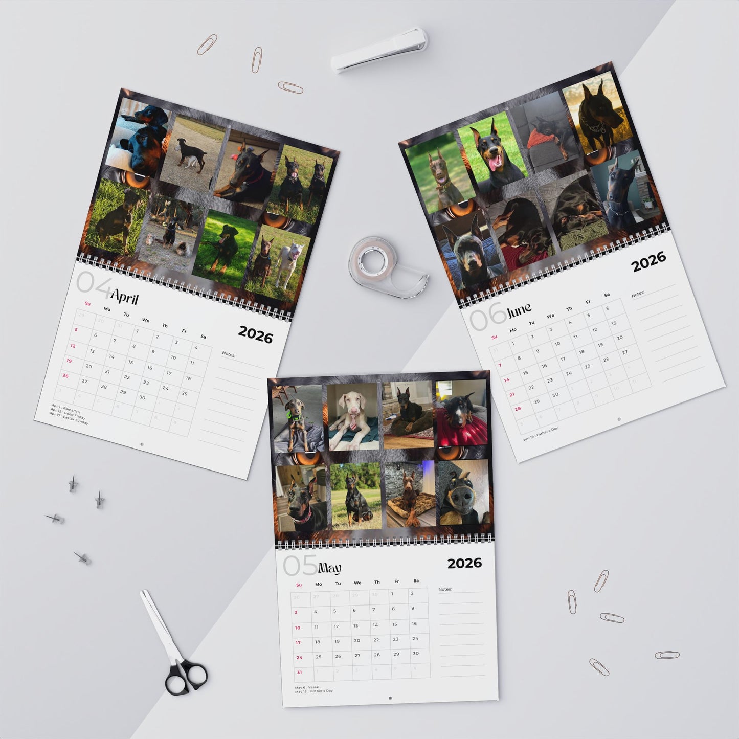 Edition 18 2026 Doberman Calendars