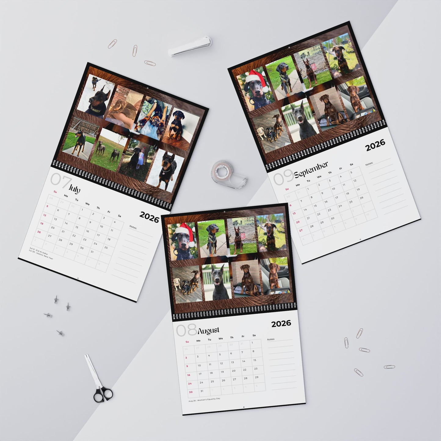 Edition 12 2026 Doberman Calendars