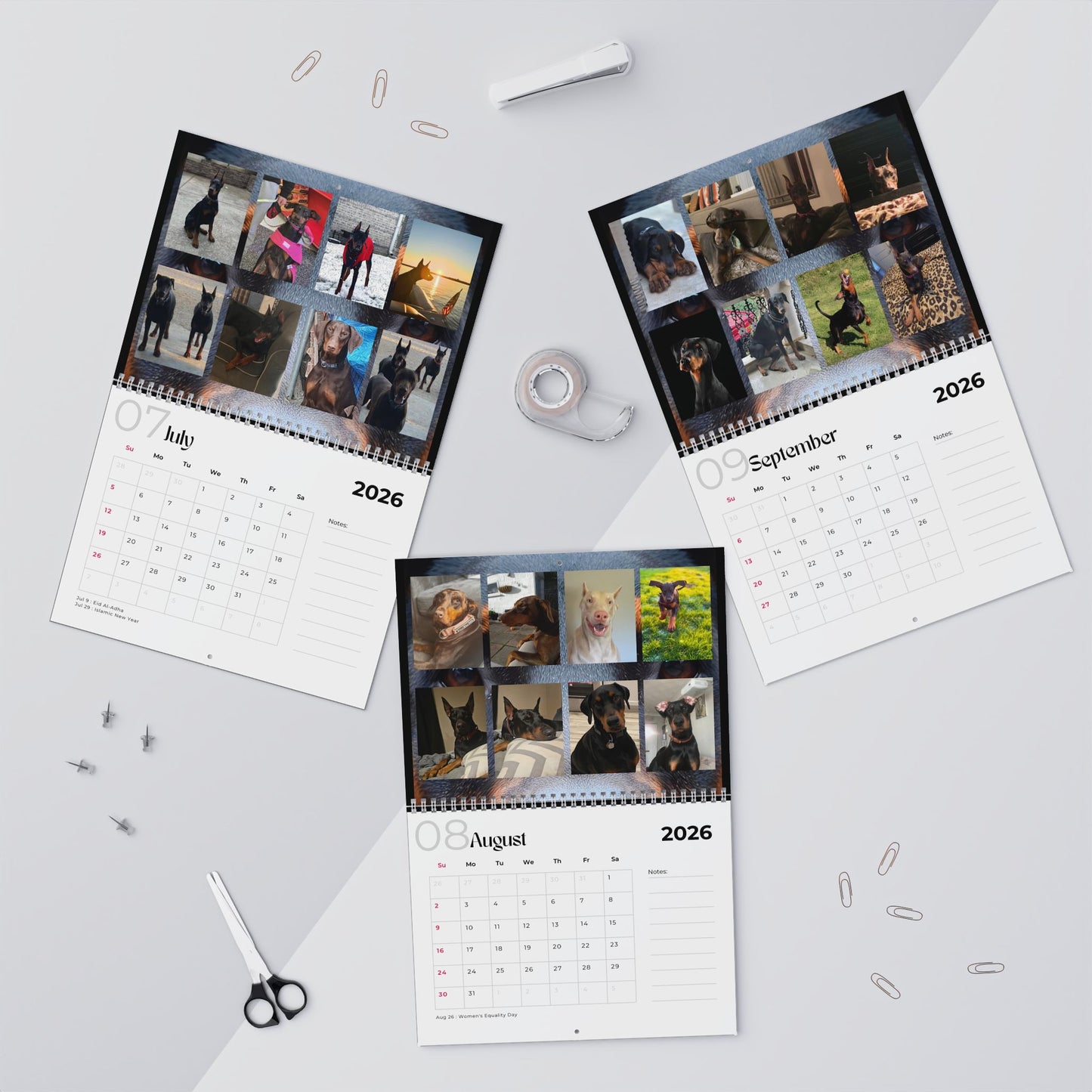 Edition 20 2026 Doberman Calendars