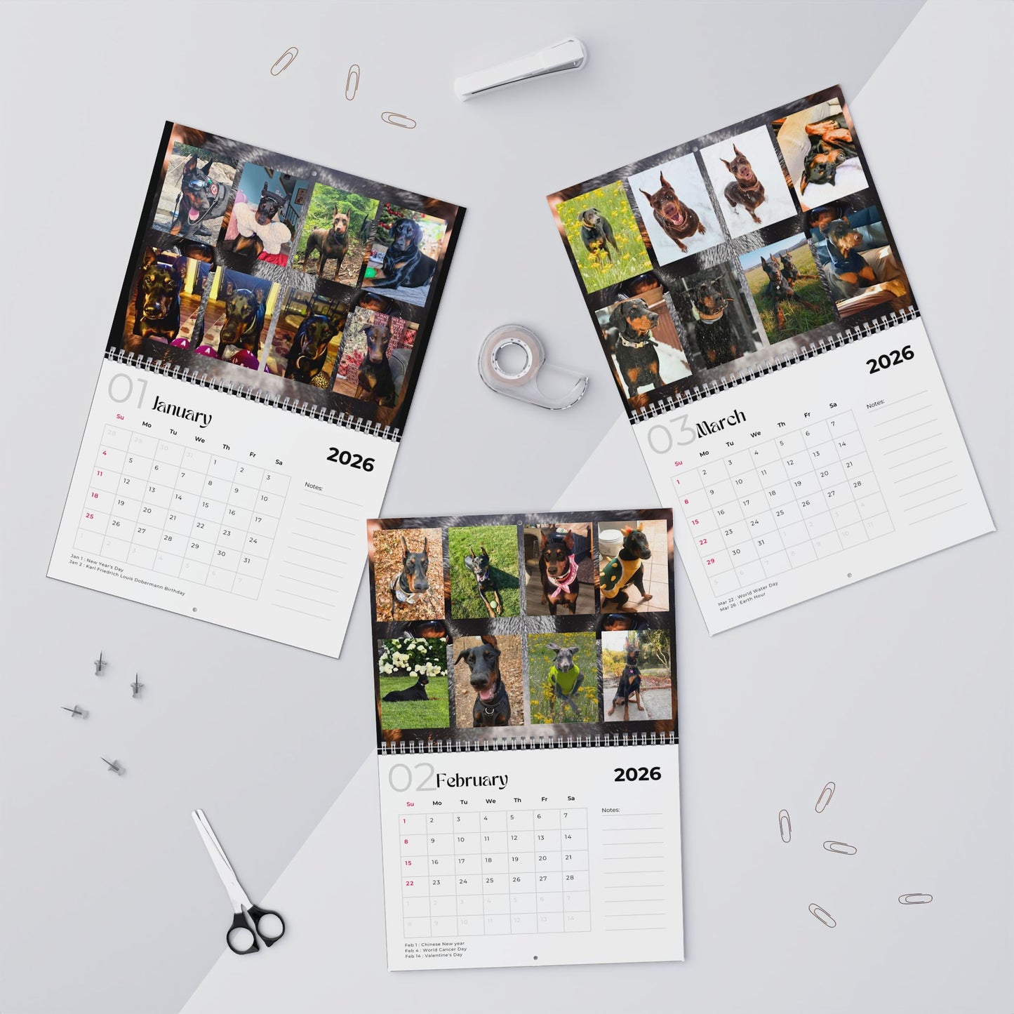 Edition 15 2026 Doberman Calendars