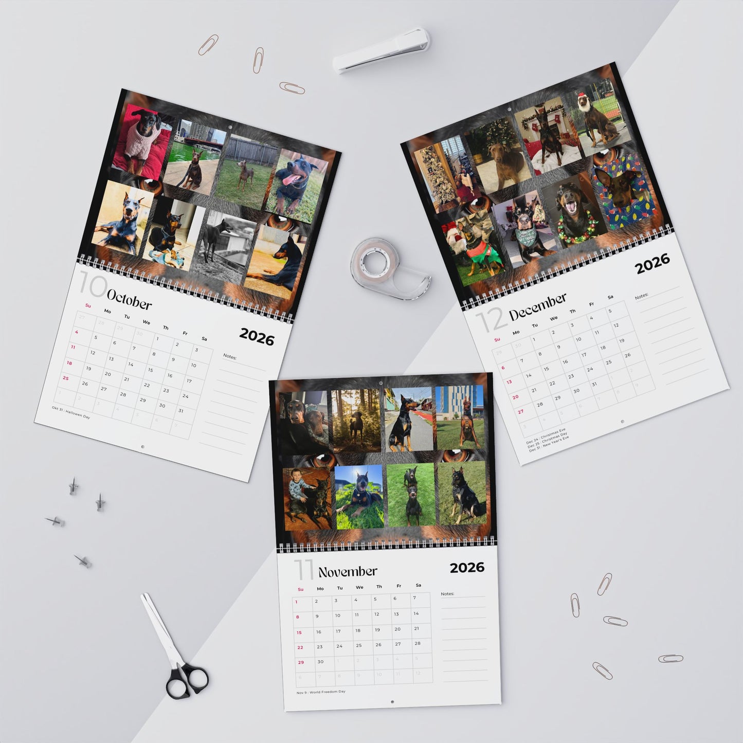 Edition 28 2026 Doberman Calendars