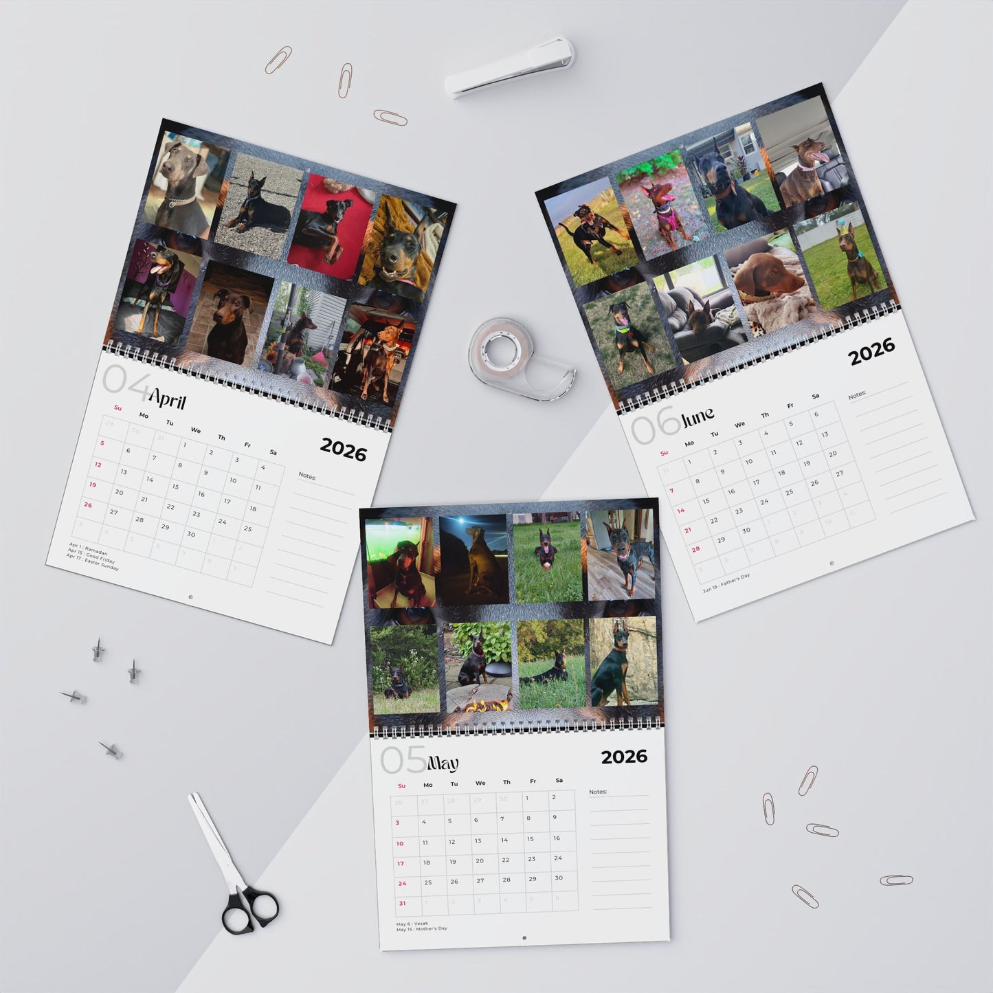 Edition 23 2026 Doberman Calendars