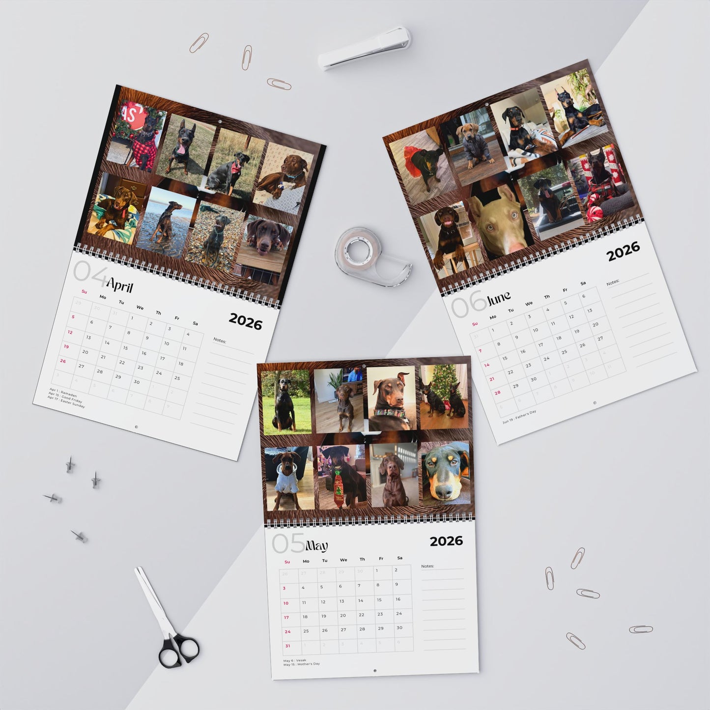 Edition 9 2026 Doberman Calendars