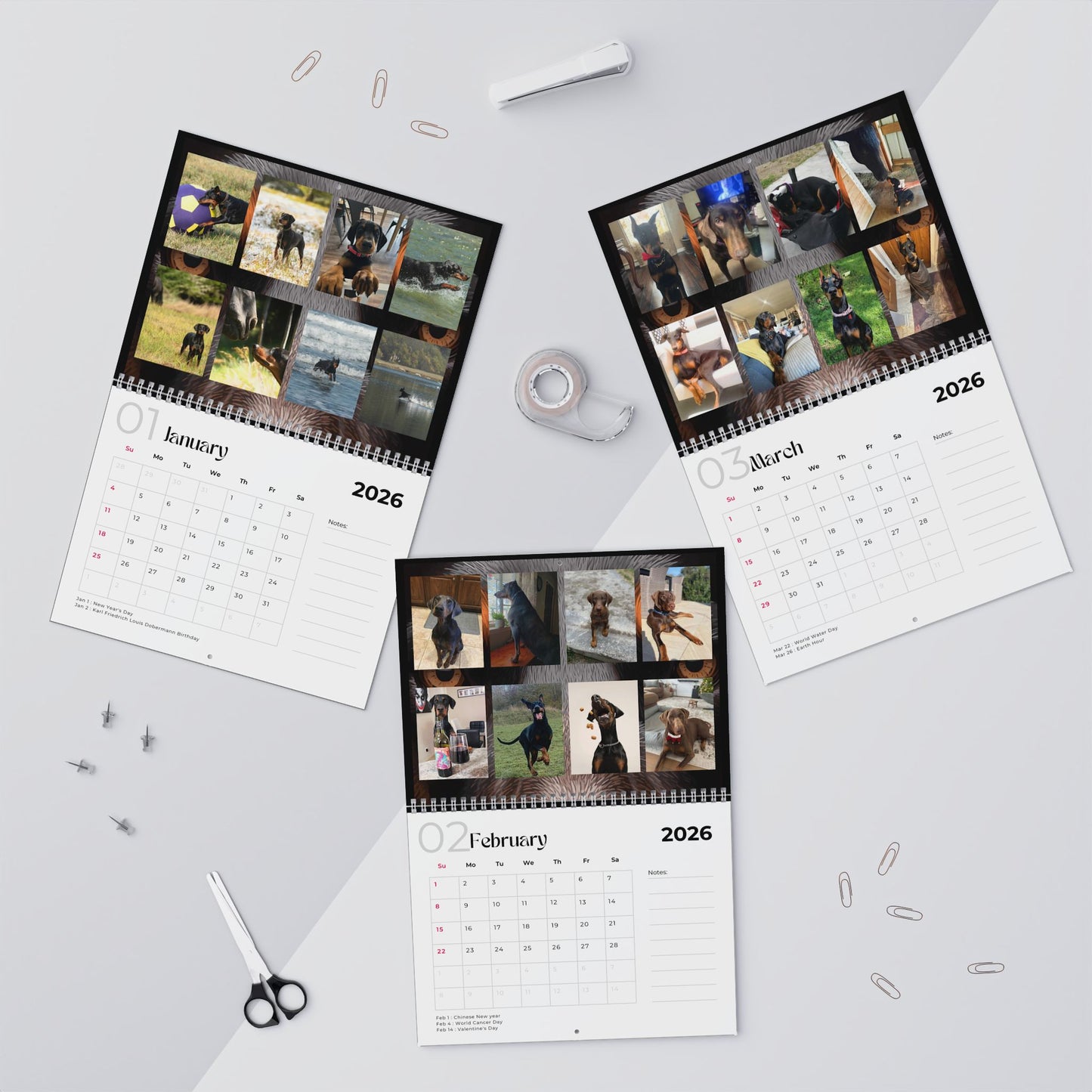 Edition 35 2026 Doberman Calendars