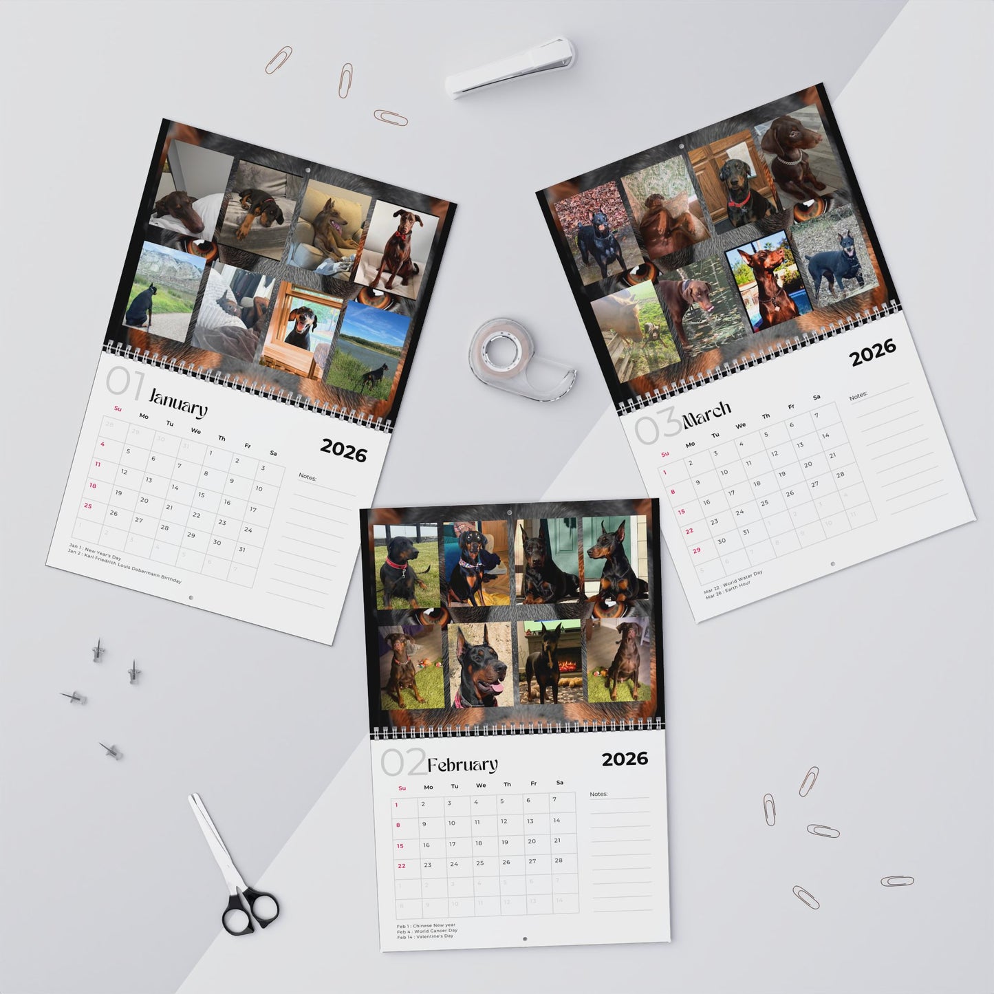 Edition 27 2026 Doberman Calendars