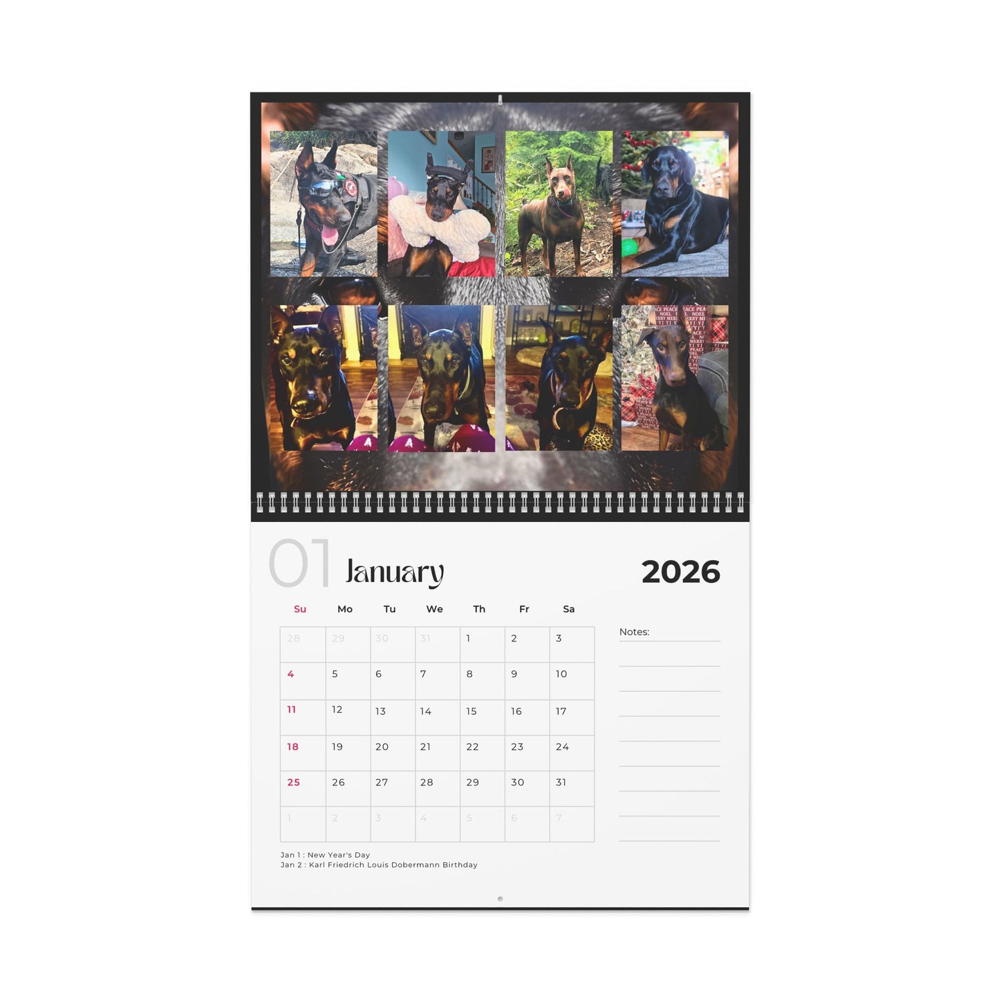 Edition 15 2026 Doberman Calendars