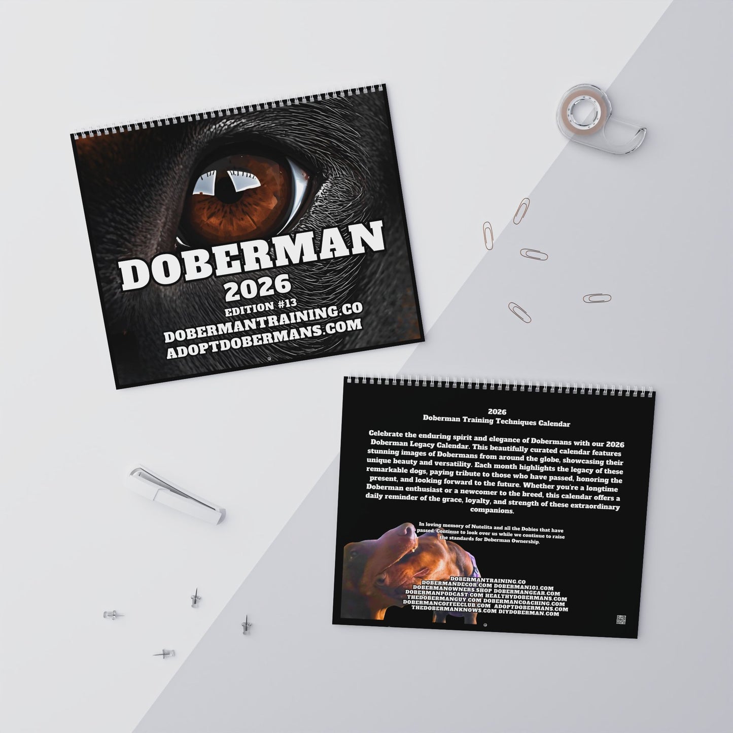 Edition 13 2026 Doberman Calendars