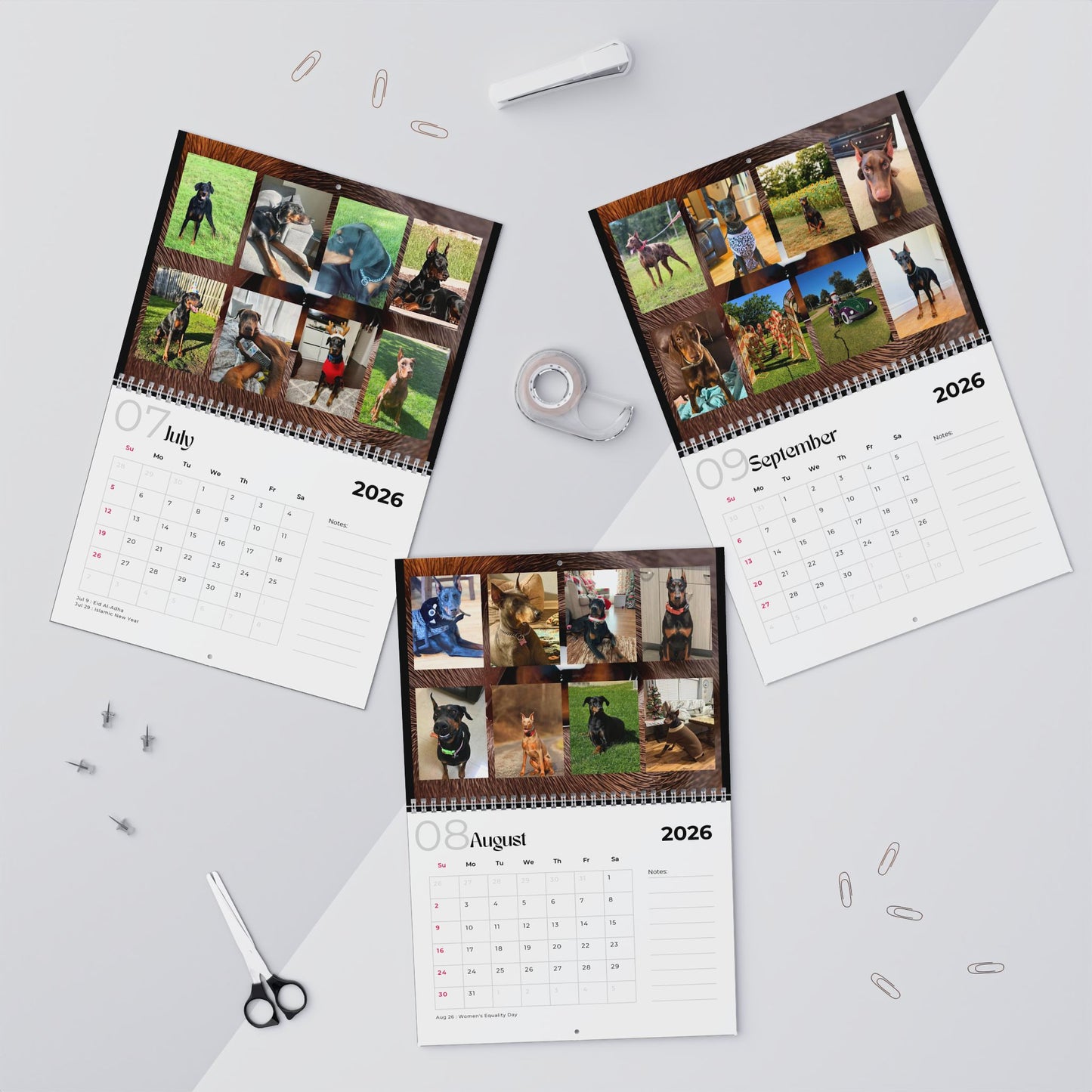 Edition 11 2026 Doberman Calendars