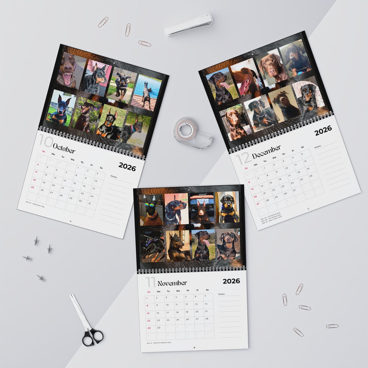 Edition 4 2026 Doberman Calendars