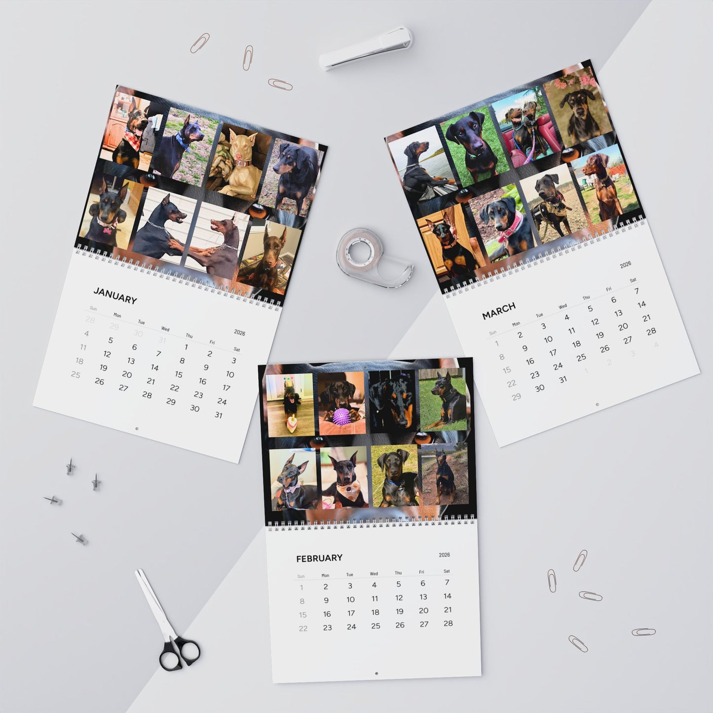 Doberman Edition 1 (International Shipping)Wall Calendar 2026