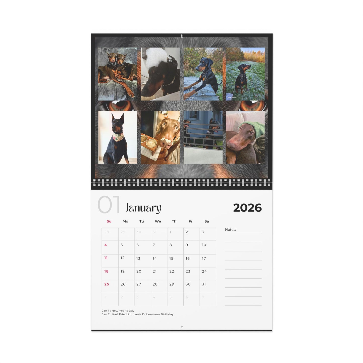 Edition 29 2026 Doberman Calendars