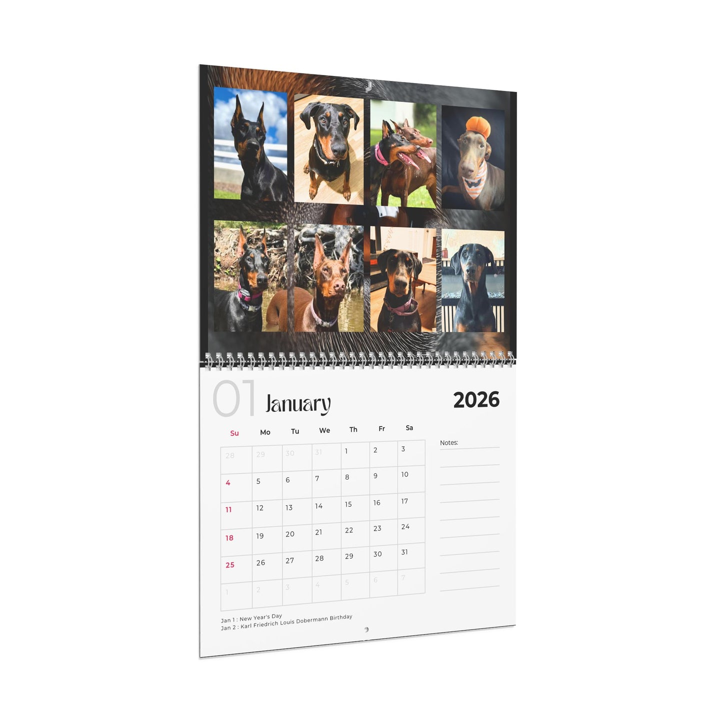 Edition 4 2026 Doberman Calendars