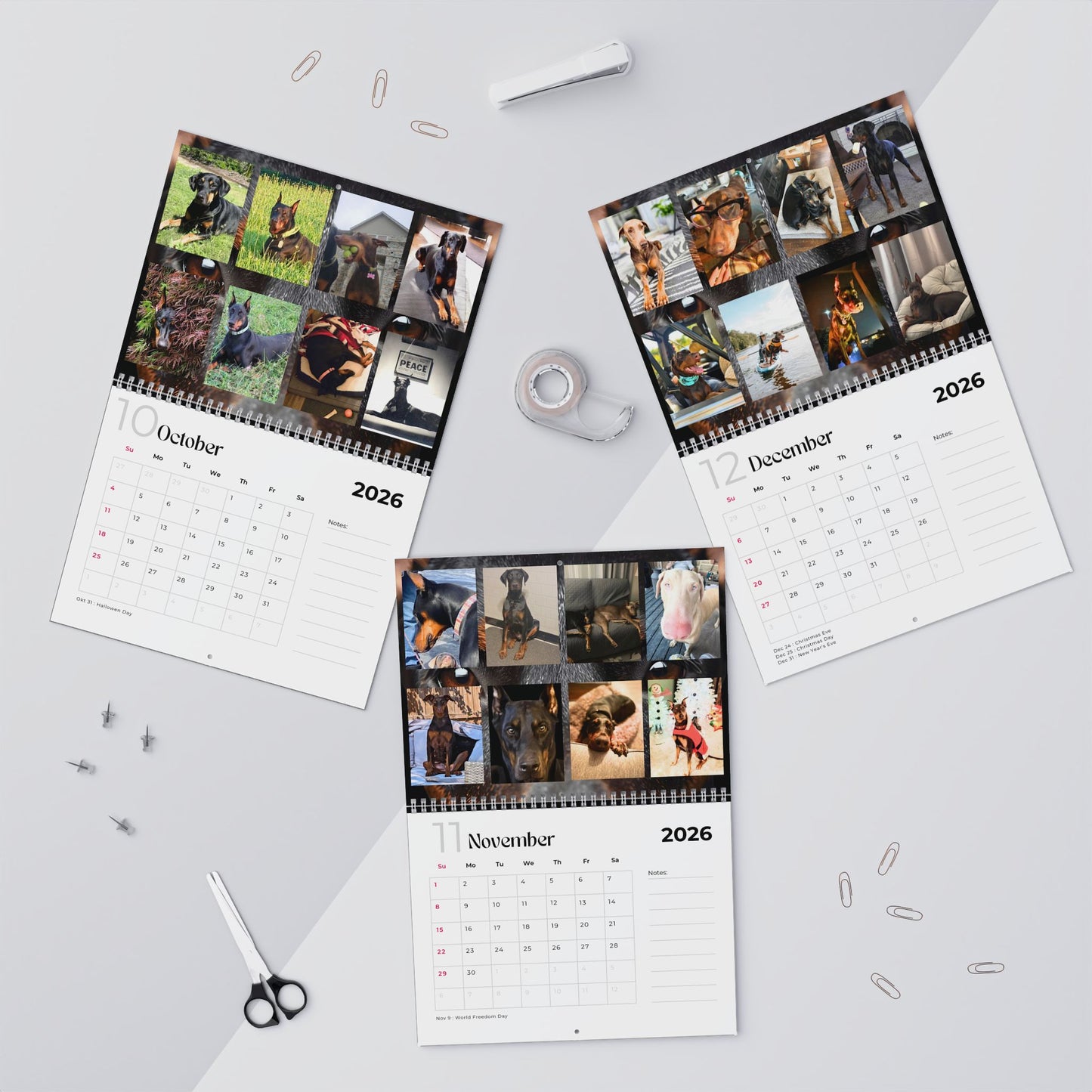Edition 13 2026 Doberman Calendars