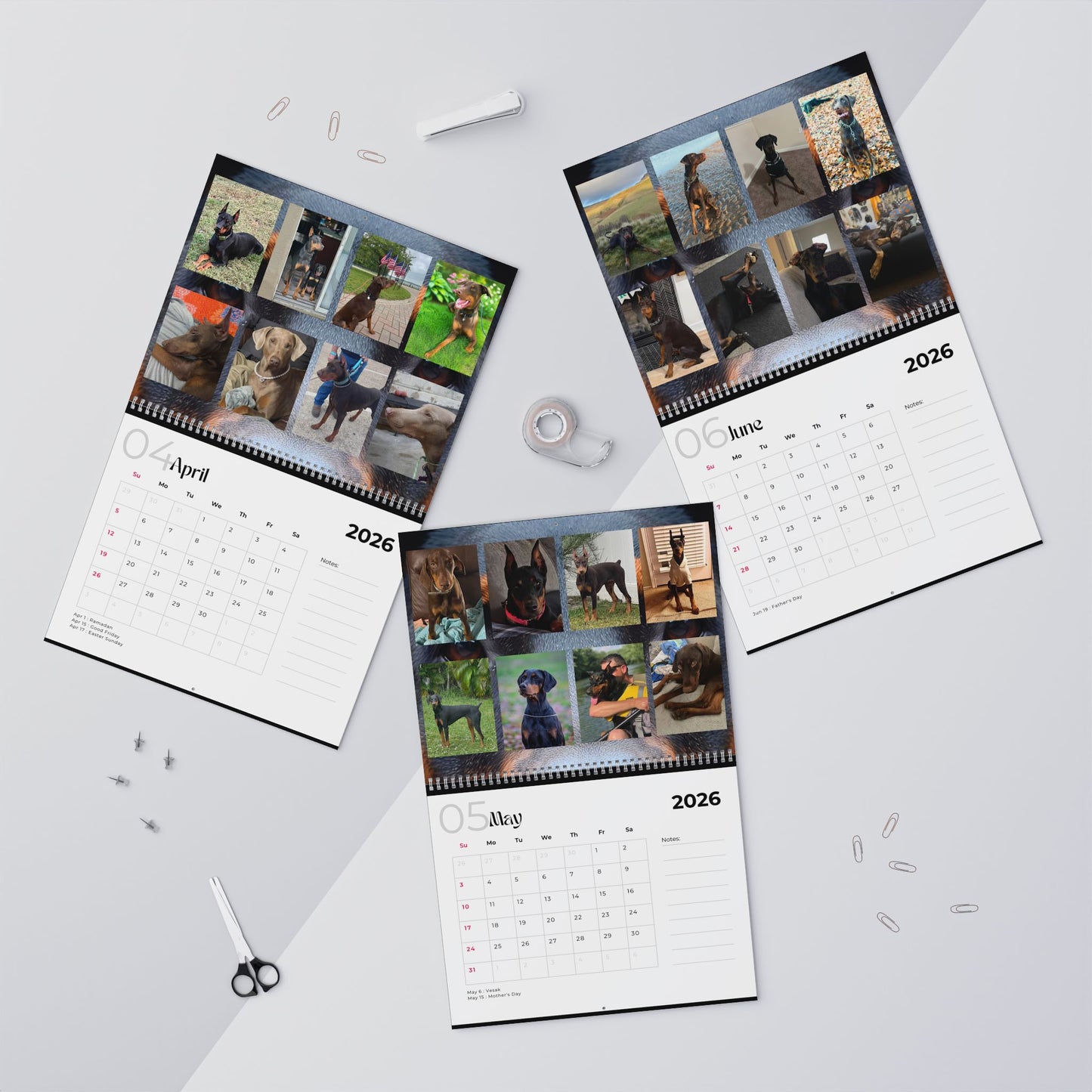 Edition 21 2026 Doberman Calendars