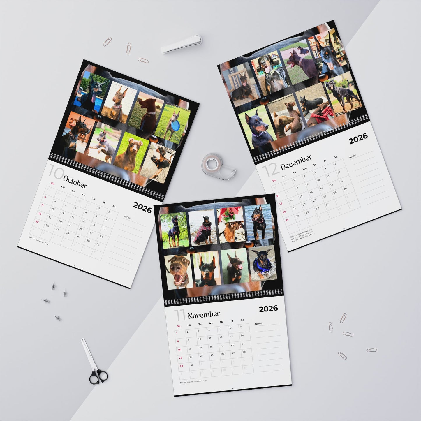 Edition 2 2026 Doberman Calendars