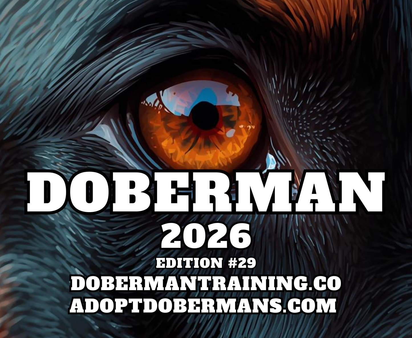 Edition 29 2026 Doberman Calendars