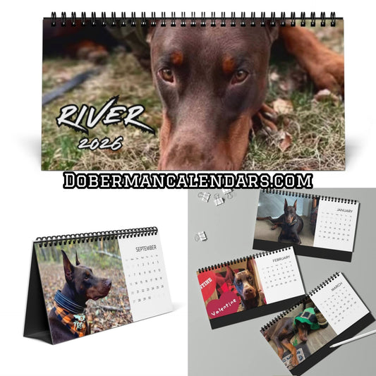 Custom Desktop Calendar — 2026 Doberman Holiday Portraits Grid