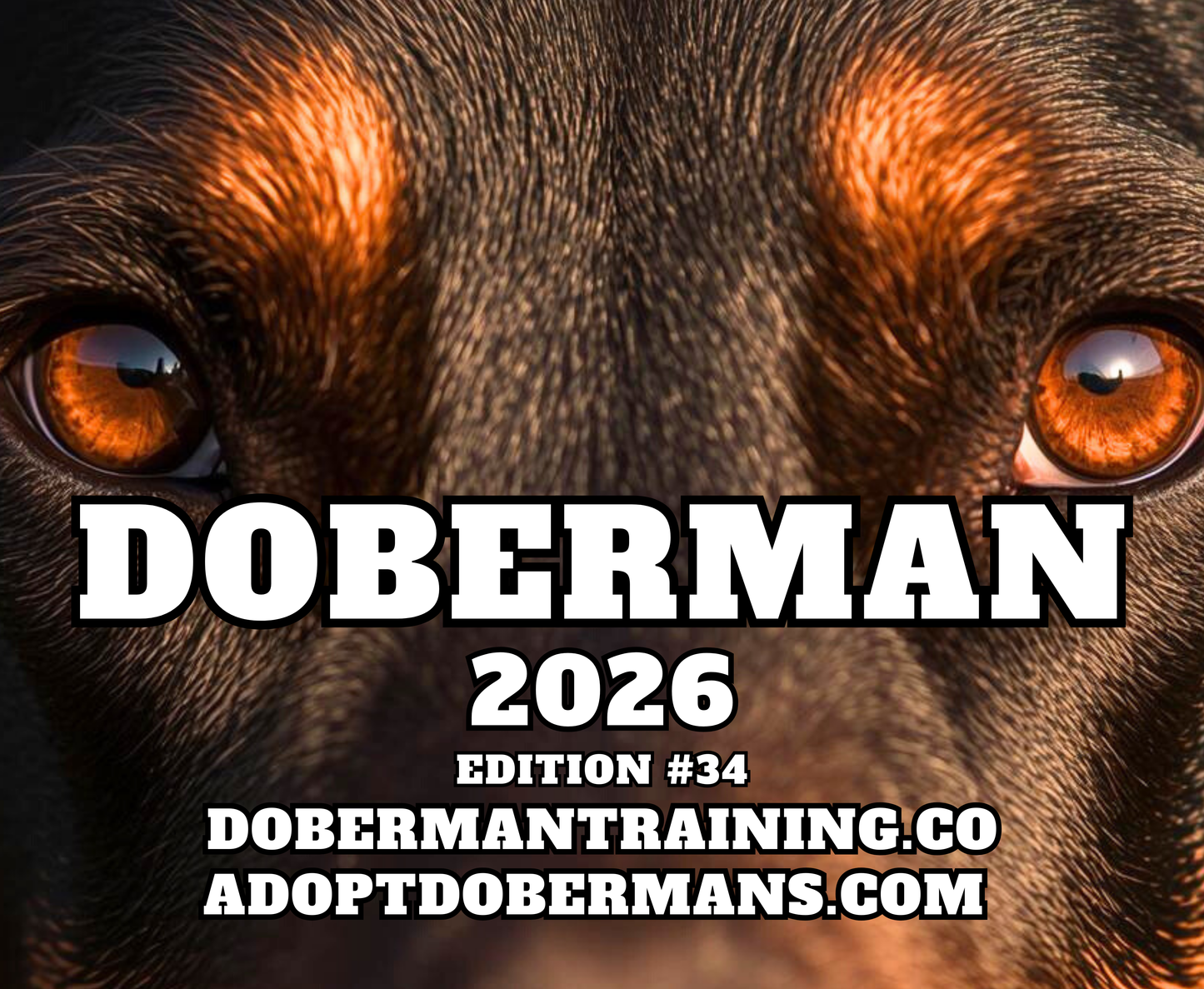 Edition 34 2026 Doberman Calendars