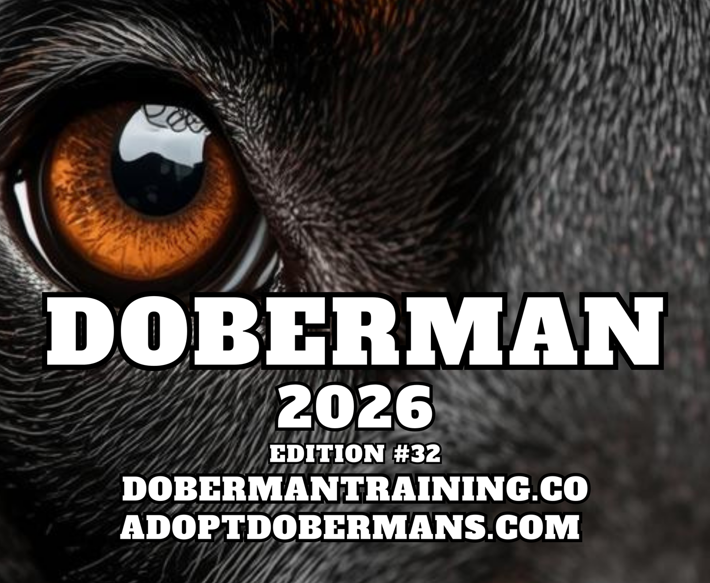 Edition 32 2026 Doberman Calendars
