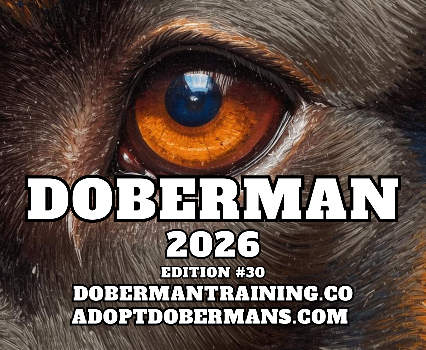 Edition 30 2026 Doberman Calendars